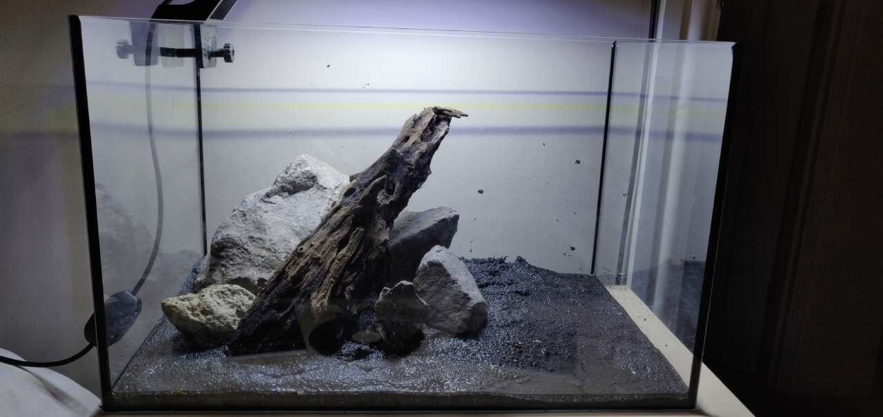 A shrimp tank hardscape with rocks and driftwood
