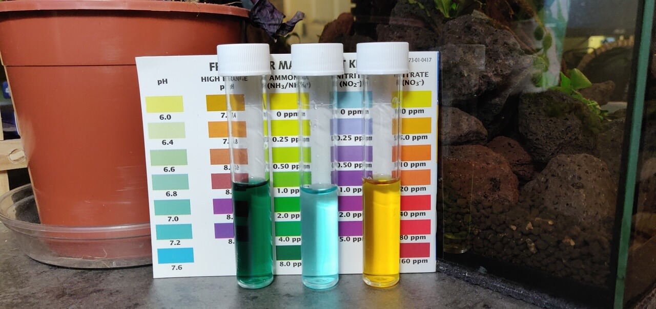 API Freshwater test kit vials