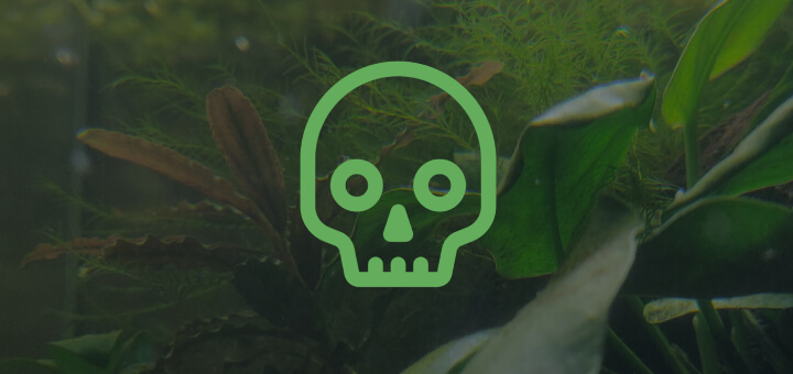 Planted tank with skull symbol