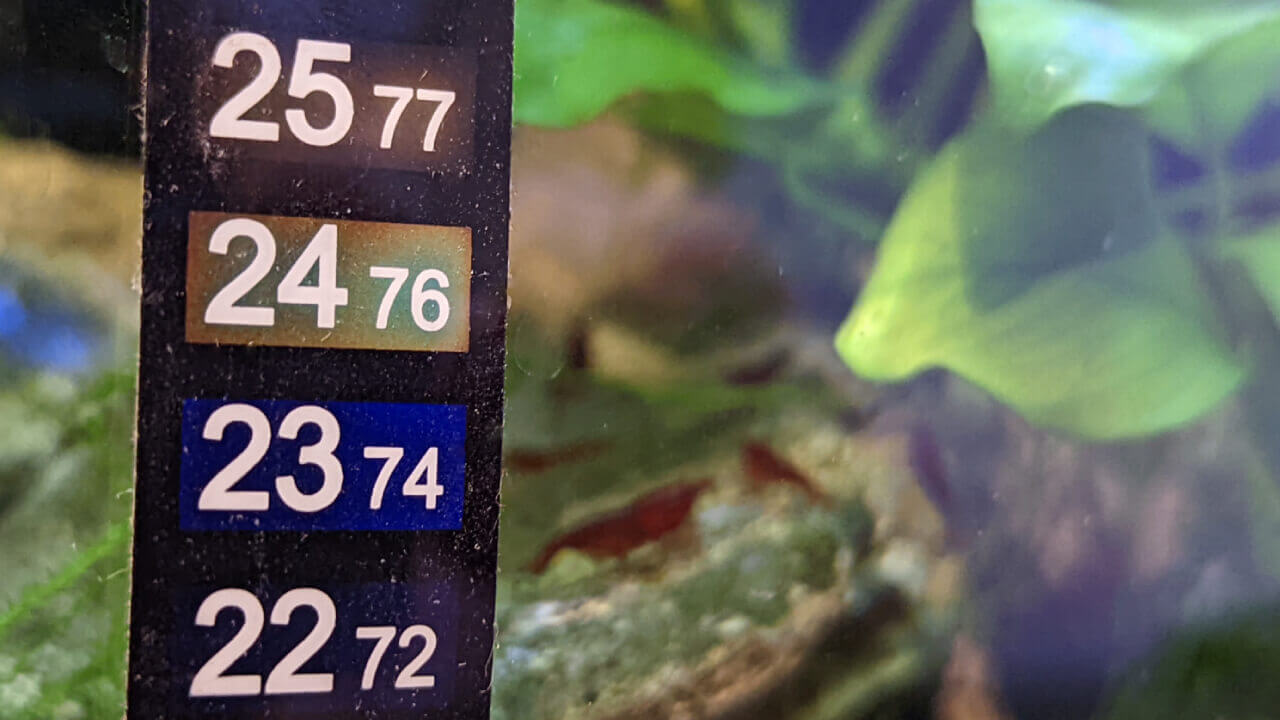 Thermometer on an aquarium