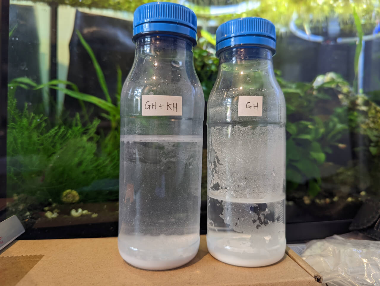 Two bottles of mineral squash made with Salty Shrimp GH+ and Salty Shrimp GH/KH+ remineralizers Two bottles of mineral squash made with Salty Shrimp GH+ and Salty Shrimp GH/KH+ remineralizers