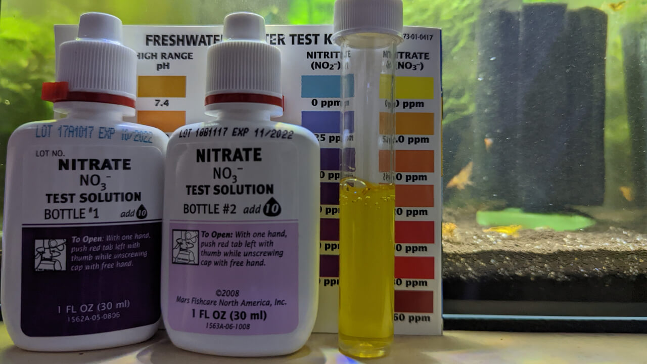 API freshwater nitrate test kit and results next to a shrimp tank