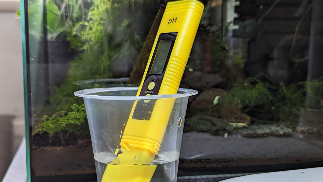 A pH testing pen in a cup of water next to a planted shrimp tank