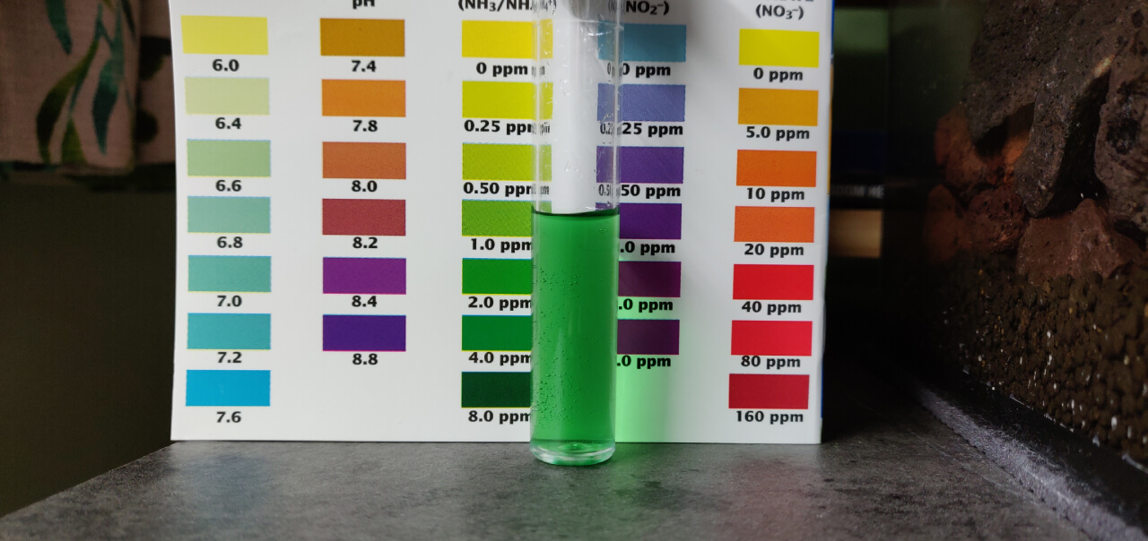 Aquarium test kit result for ammonia